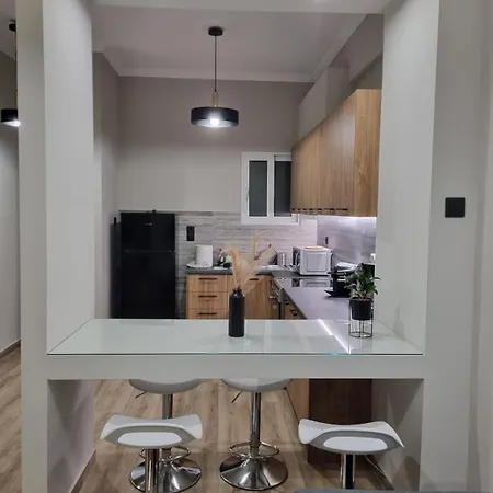 Apartment Stylish Fully Renovated - Koukaki